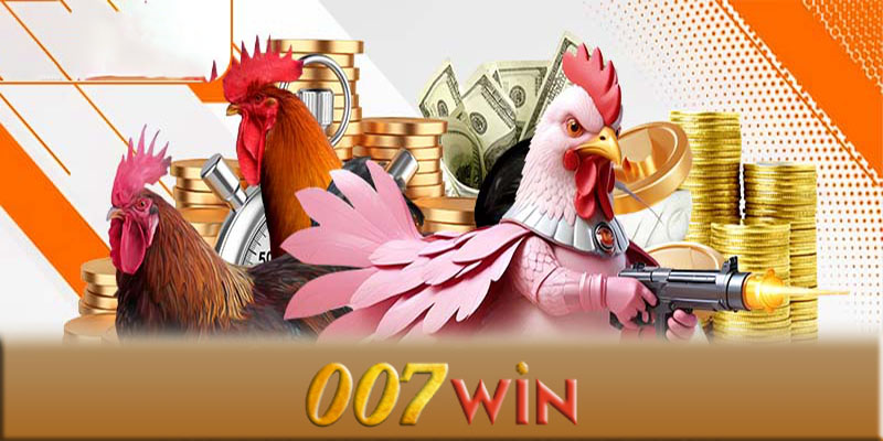 Một số lưu ý khi chơi đá gà 007Win