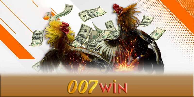 Đá gà 007Win - Bí quyết chọn gà thắng lớn tại đá gà 007Win